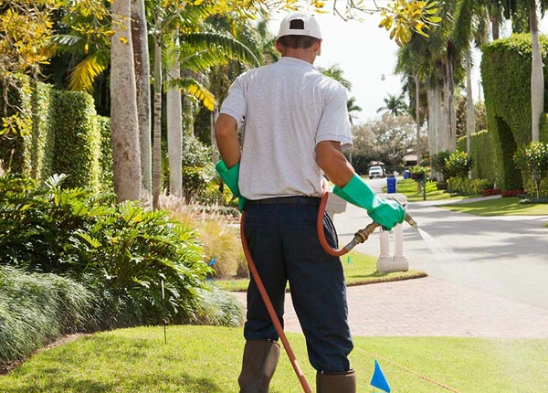 About Alpharetta GA Pest Control Pros